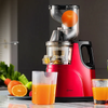 Extracteur de Jus de Fruits, Grand Model